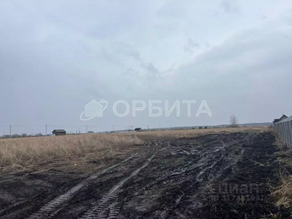 Участок в Тюменская область, Тюменский район, Сезоны кп ул. Зимняя ... - Фото 1