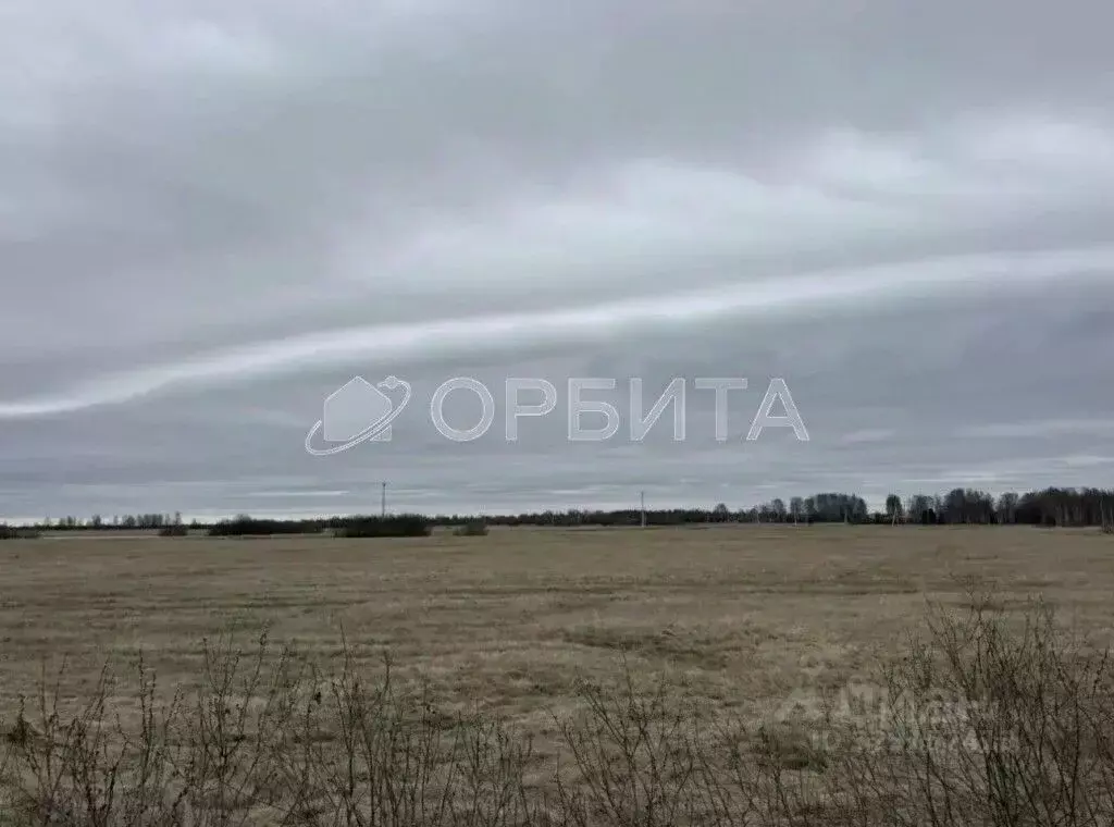 Участок в Тюменская область, Тюмень  (7.25 сот.) - Фото 1