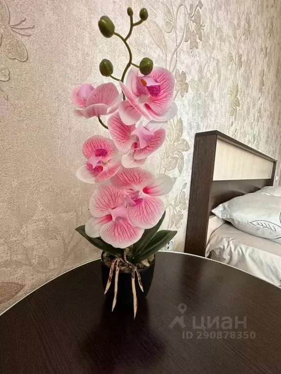2-к кв. Курганская область, Шадринск Красноармейская ул., 89 (56.0 м) - Фото 2