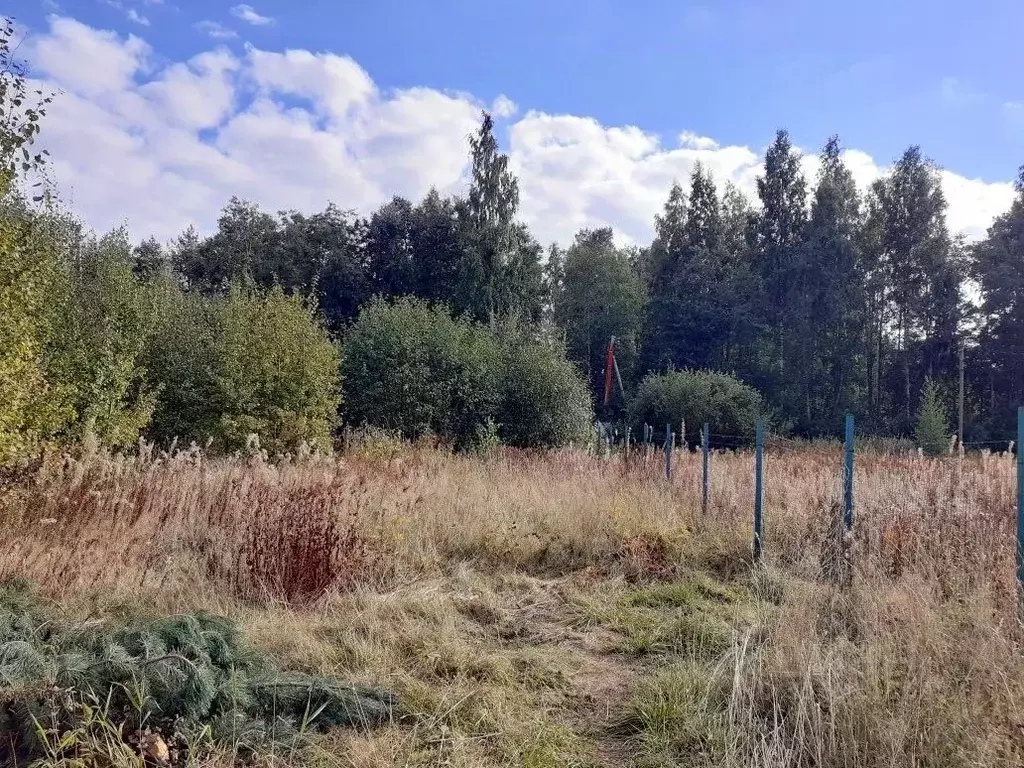 Участок в Ленинградская область, Выборгский район, Полянское с/пос, ... - Фото 0