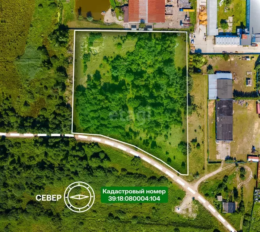 Участок в Калининградская область, Светловский городской округ, пос. ... - Фото 1