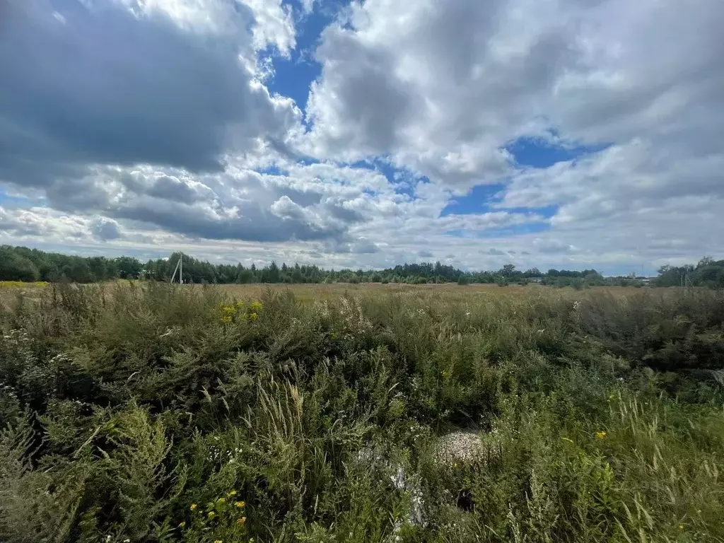 Участок в Московская область, Ступино городской округ, с. Ивановское  ... - Фото 2