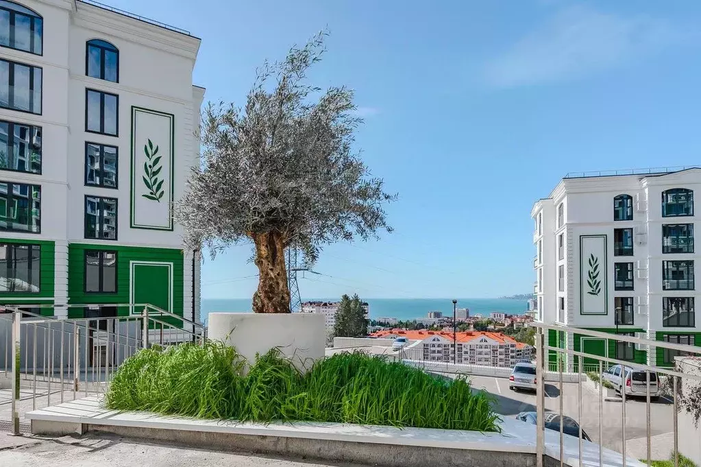 Студия Краснодарский край, Сочи ул. Ленина, 290/8к3 (26.0 м) - Фото 2