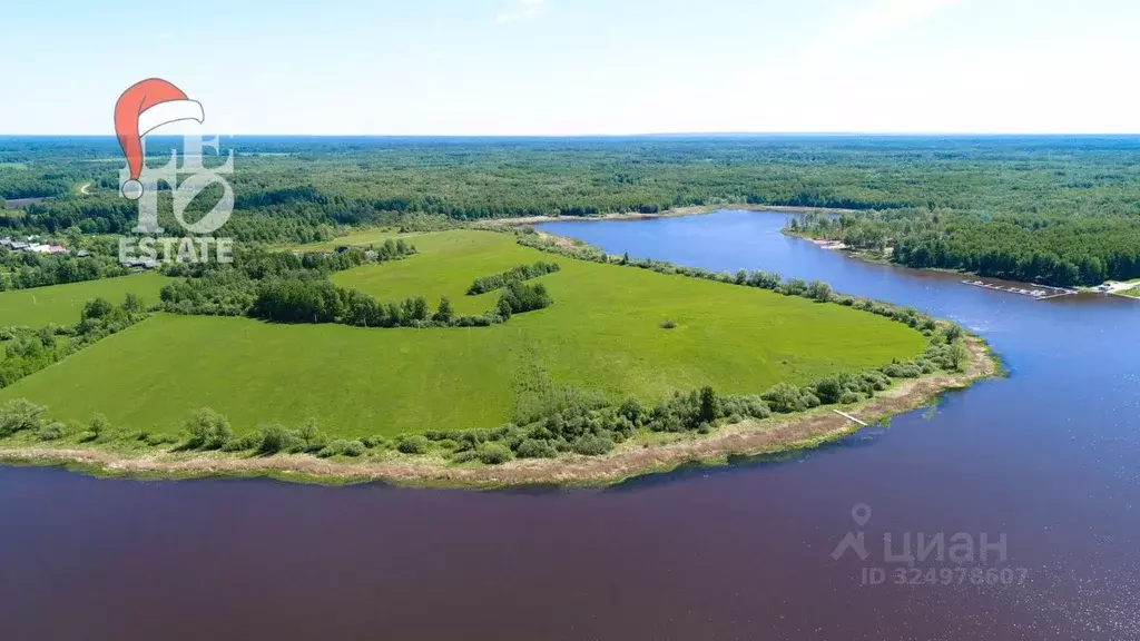 Участок в Ярославская область, Угличский муниципальный округ, д. ... - Фото 2
