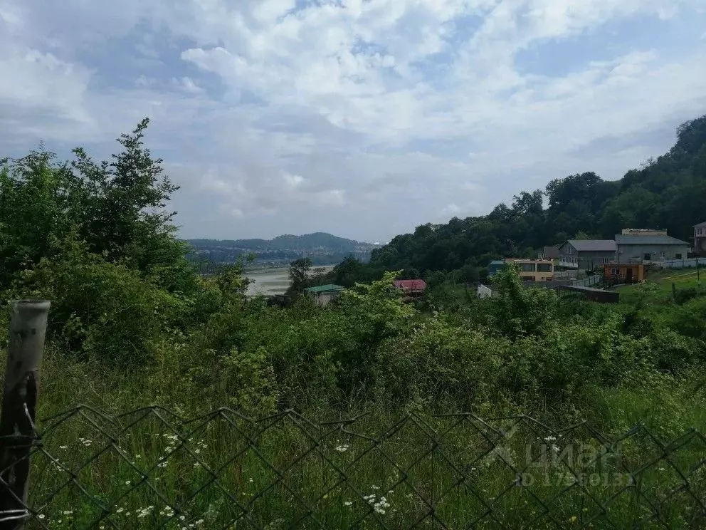 Участок в Краснодарский край, Сочи ул. Пчеловодов (4.85 сот.) - Фото 0