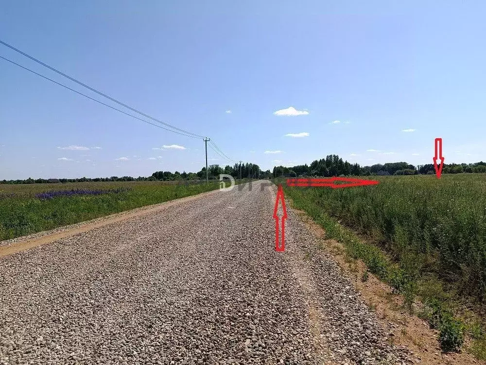 Участок в Ярославская область, Ярославский муниципальный округ, ... - Фото 1