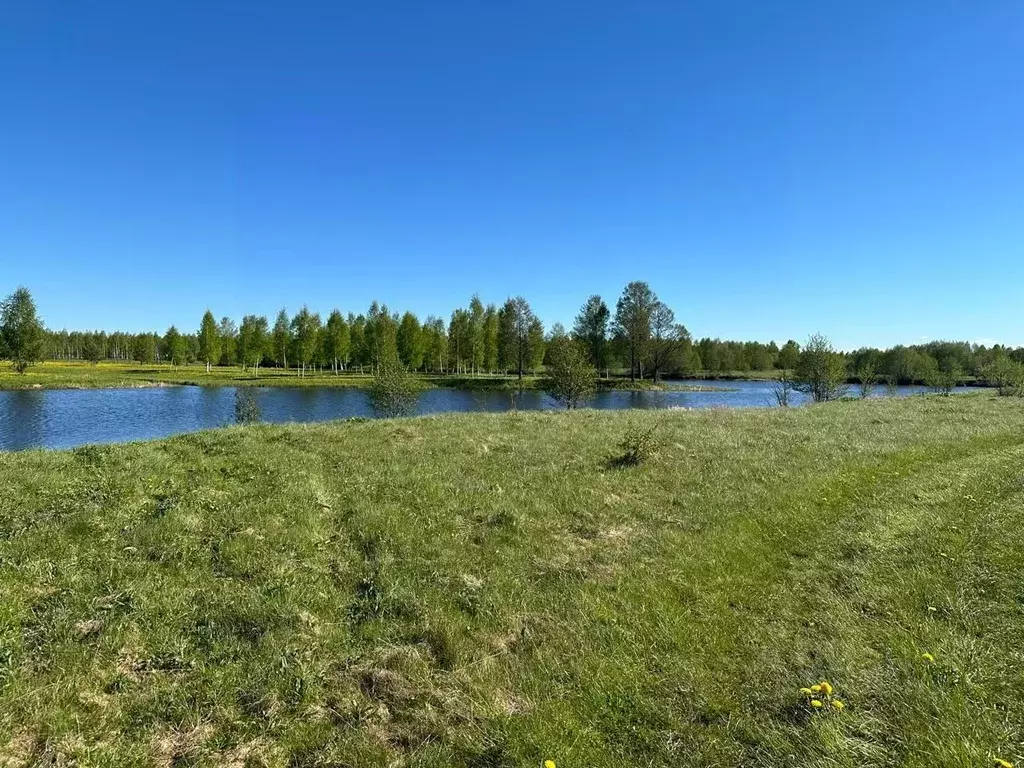 Участок в Тверская область, Калязинский муниципальный округ, д. ... - Фото 2