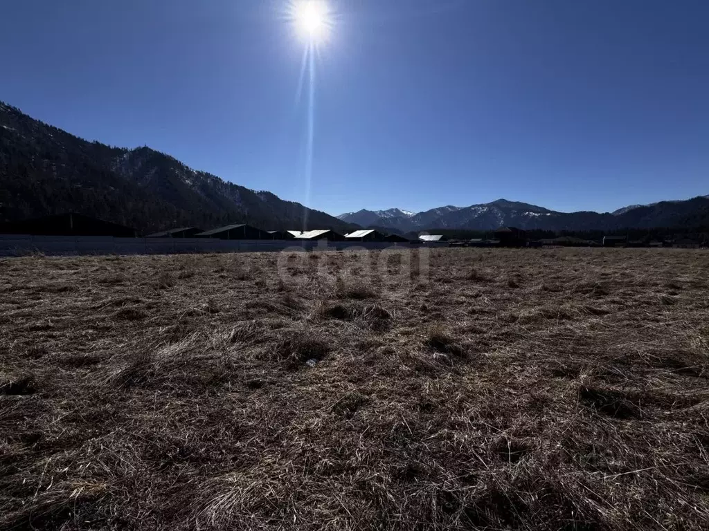 Участок в Алтай, Чемальский район, с. Чепош, Заречье ДНТ  (10.0 сот.) - Фото 1