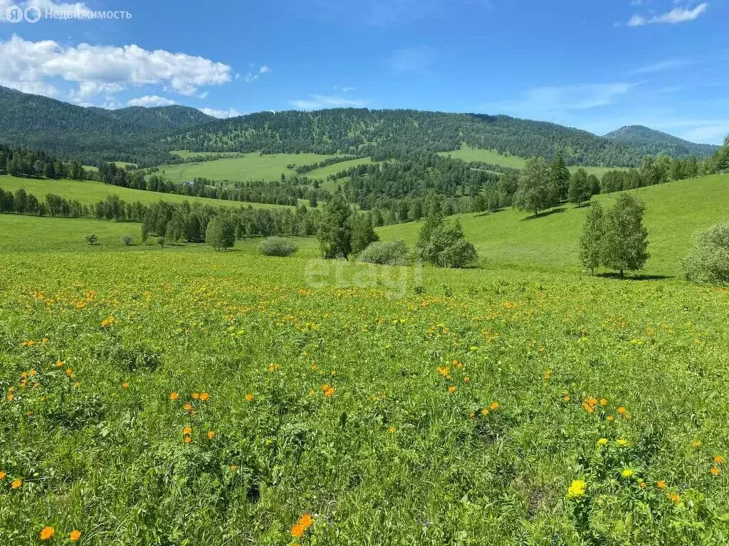 Участок в Чемальский район, село Анос (100.1 м) - Фото 0