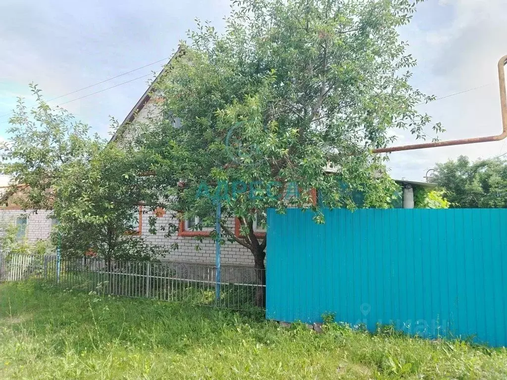 Дом в Белгородская область, Новооскольский городской округ, с. ... - Фото 2