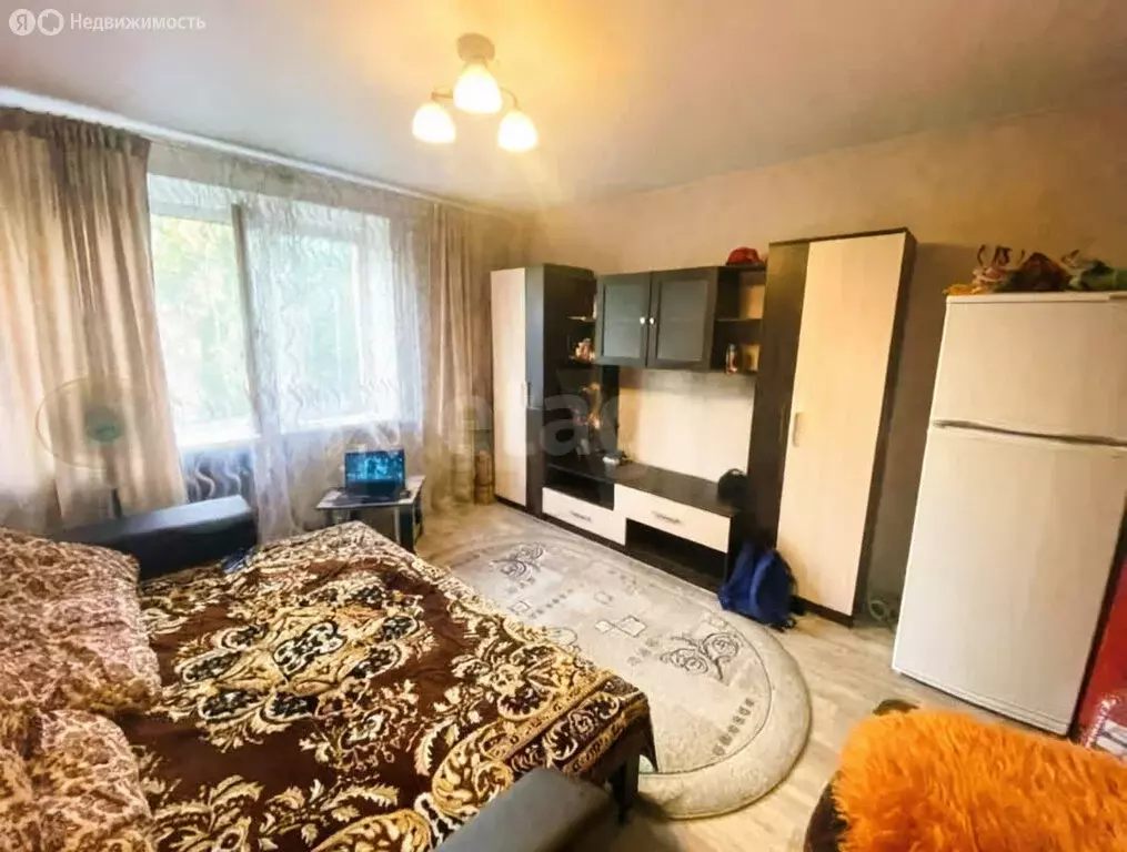 Квартира-студия: Воронеж, бульвар Пионеров, 11 (18.7 м) - Фото 1