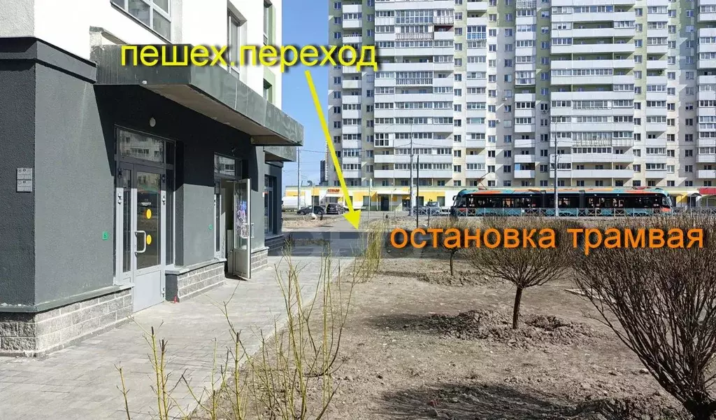 Помещение свободного назначения в Санкт-Петербург пос. Шушары, просп. ... - Фото 1