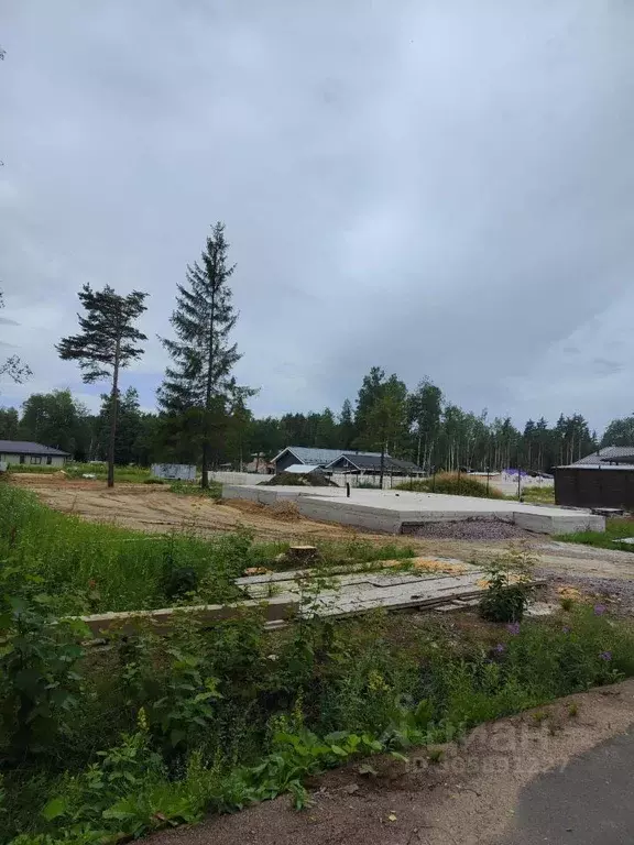 Участок в Ленинградская область, Всеволожский район, Лесколовское ... - Фото 0