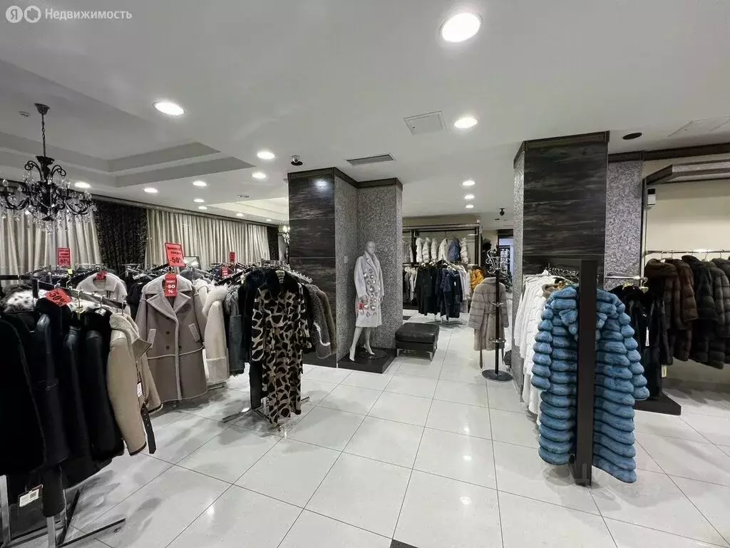 Помещение свободного назначения (285 м) - Фото 1