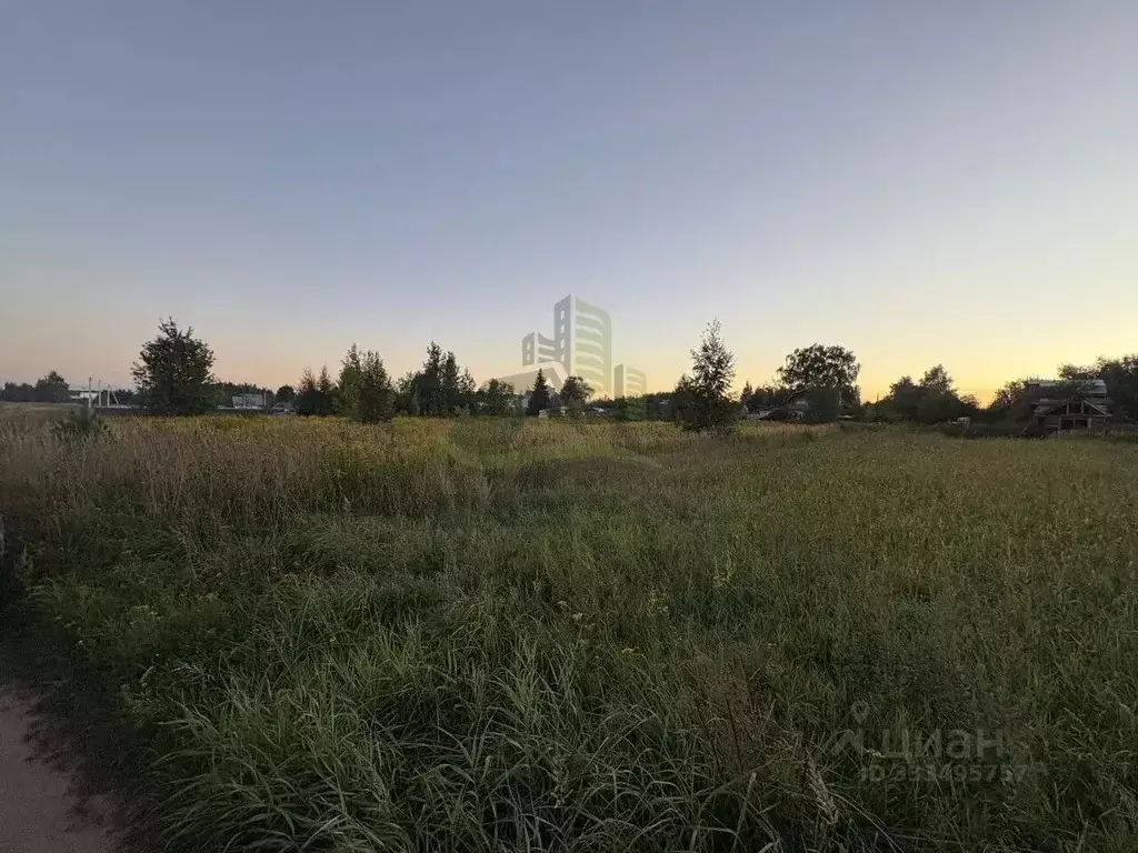 Участок в Московская область, Богородский городской округ, д. ... - Фото 2