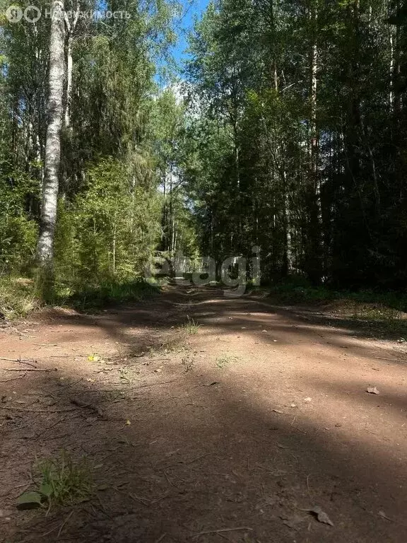 Участок в Кировская область, посёлок городского типа Верхошижемье ... - Фото 1