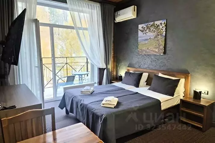 1-к кв. Челябинская область, Миасский городской округ, с. Сыростан ул. ... - Фото 1