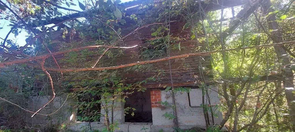 Участок в Свердловская область, Сысертский муниципальный округ, пос. ... - Фото 2