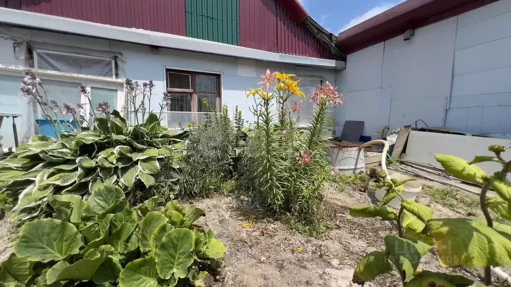 Дом в Сахалинская область, Южно-Сахалинск ул. Имени 1905 года, 93 (67 ... - Фото 1