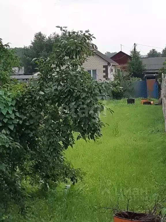 Участок в Амурская область, Благовещенский район, с. ... - Фото 0