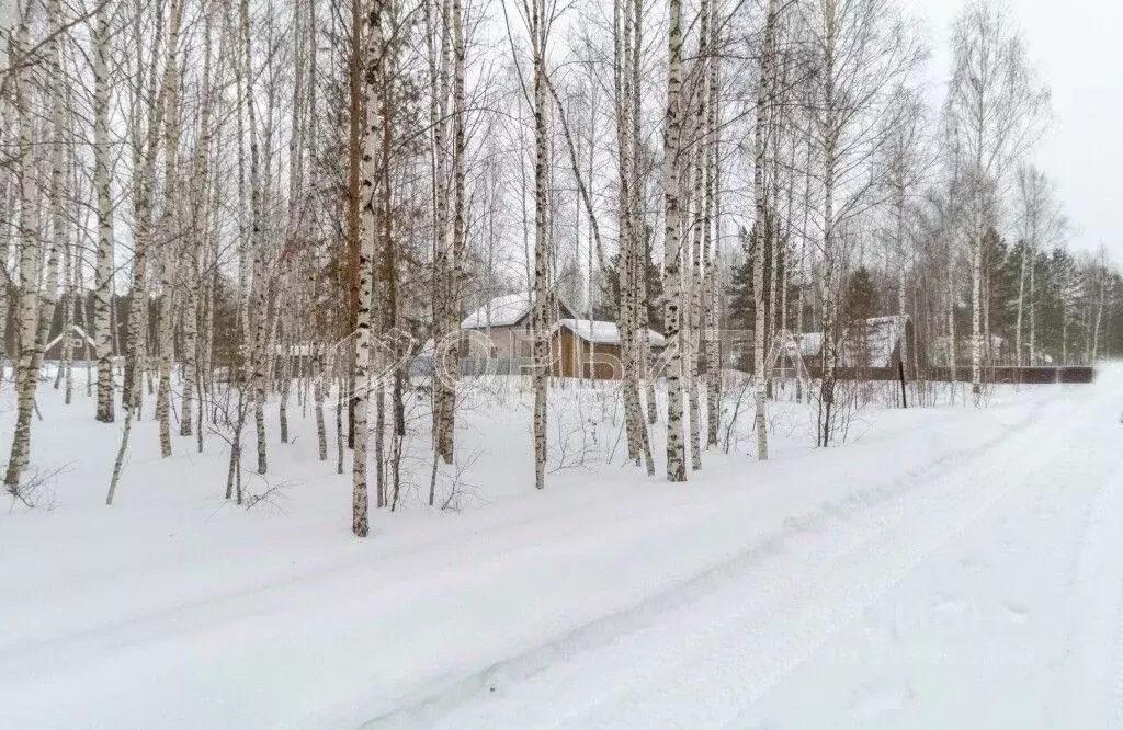 Участок в Тюменская область, Нижнетавдинский муниципальный округ, ... - Фото 1