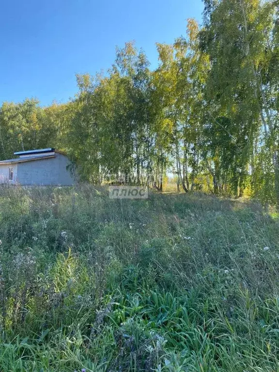 Участок в Омская область, Омский район, с. Усть-Заостровка  (13.0 ... - Фото 0