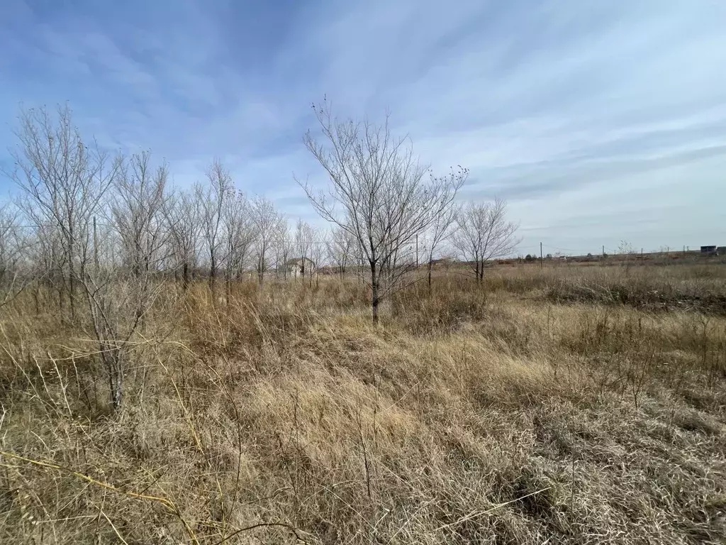 Участок в Оренбургская область, Оренбургский район, Пригородный ... - Фото 2