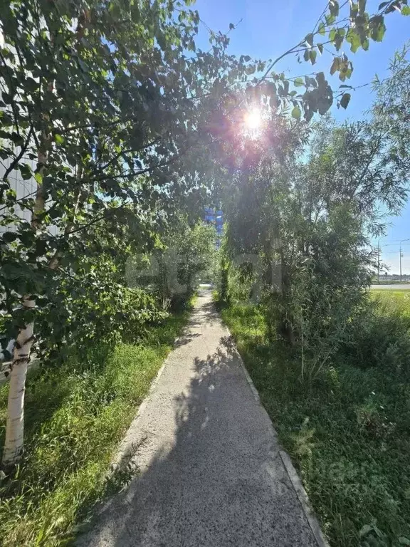 Студия Ханты-Мансийский АО, Сургут Югорская ул., 42 (23.0 м) - Фото 1