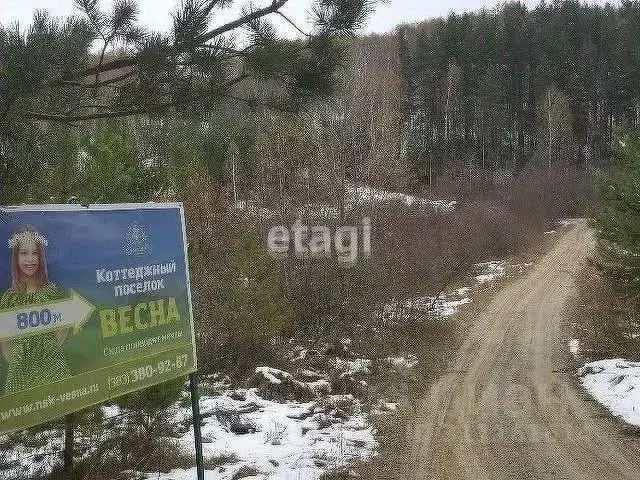 Участок в Новосибирская область, Новосибирский район, Барышевский ... - Фото 1