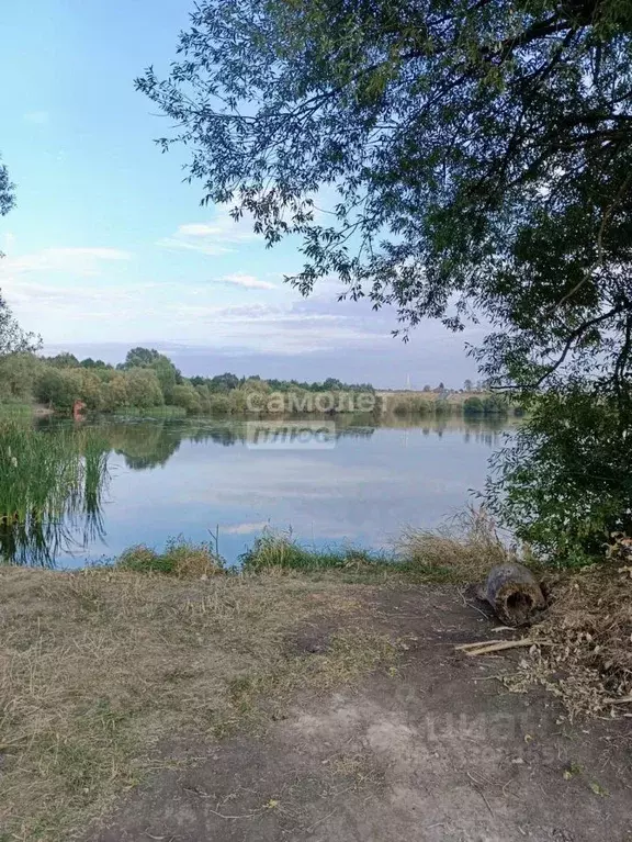 Участок в Курская область, Курский район, Лебяженский сельсовет, д. ... - Фото 1