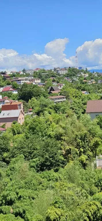 Студия Краснодарский край, Сочи Светлана мкр, ул. Серафимовича, 5 ... - Фото 2