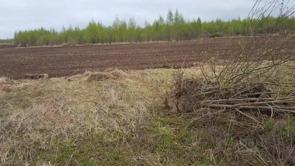 Участок в Московская область, Коломна городской округ, д. Семеновское  ... - Фото 1