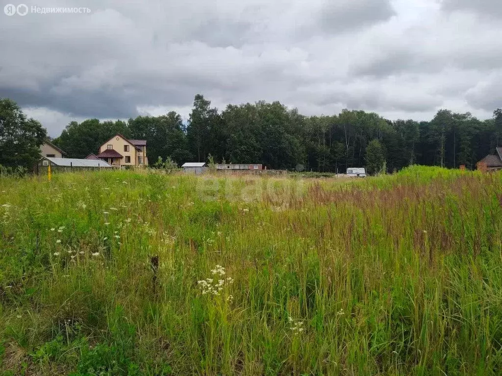 Участок в Калининградская область, Гурьевский муниципальный округ, ... - Фото 2