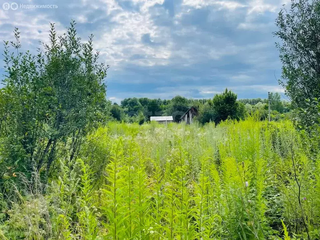 Участок в Уфа, коллективный сад № 26 ОСТ ОАО УМПО (5.8 м) - Фото 0