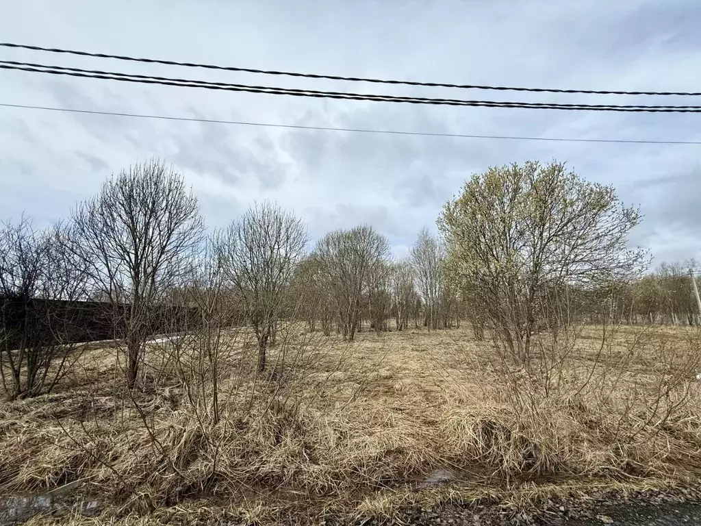 Участок в Московская область, Серпухов городской округ, Клейменово-3 ... - Фото 1