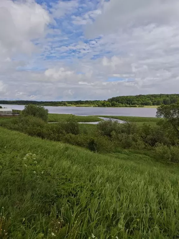 Участок в Новгородская область, Новгородский район, Трубичинское ... - Фото 2