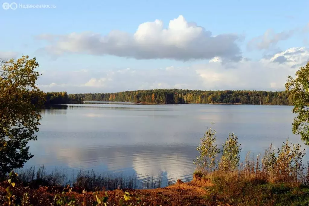 Участок в Новгородская область, Демянский муниципальный округ, ... - Фото 1
