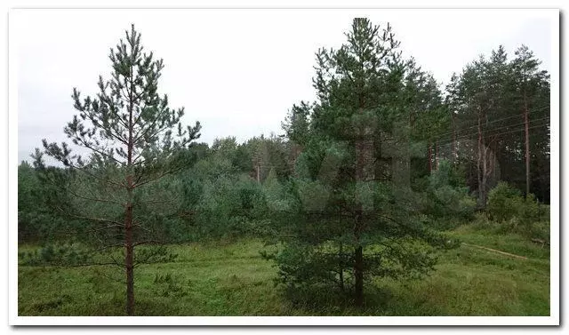 Участок 8,71 га (СНТ, ДНП) - Фото 0