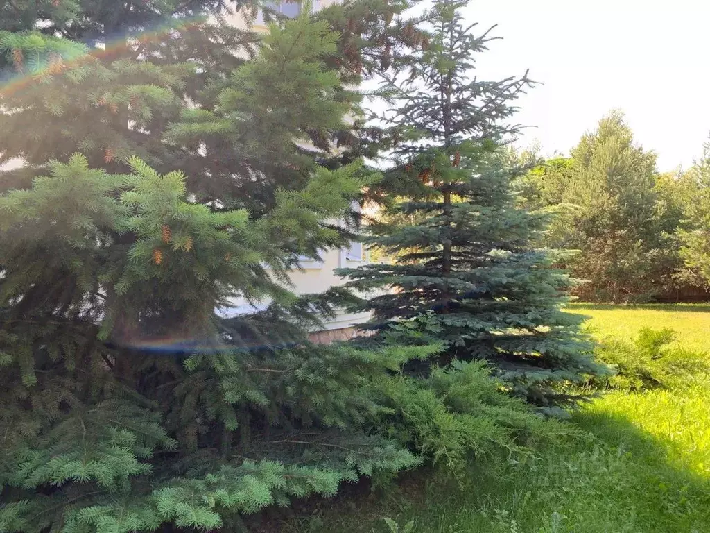 Дом в Московская область, Одинцовский городской округ, д. Рождественно ... - Фото 2