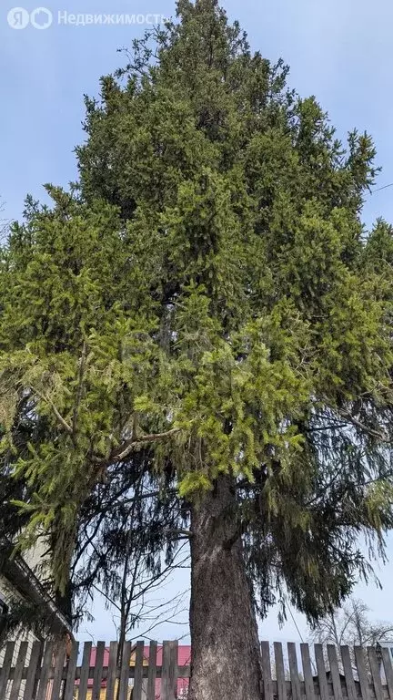 Дом в село Красный Ключ, Лесная улица (58.3 м) - Фото 2