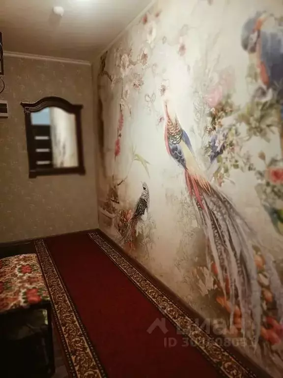 Студия Ярославская область, Ярославль ул. Брагинская, 18к3 (40.0 м) - Фото 0