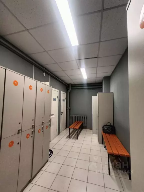 Помещение свободного назначения в Саха (Якутия), Якутск ул. Кирова, ... - Фото 2