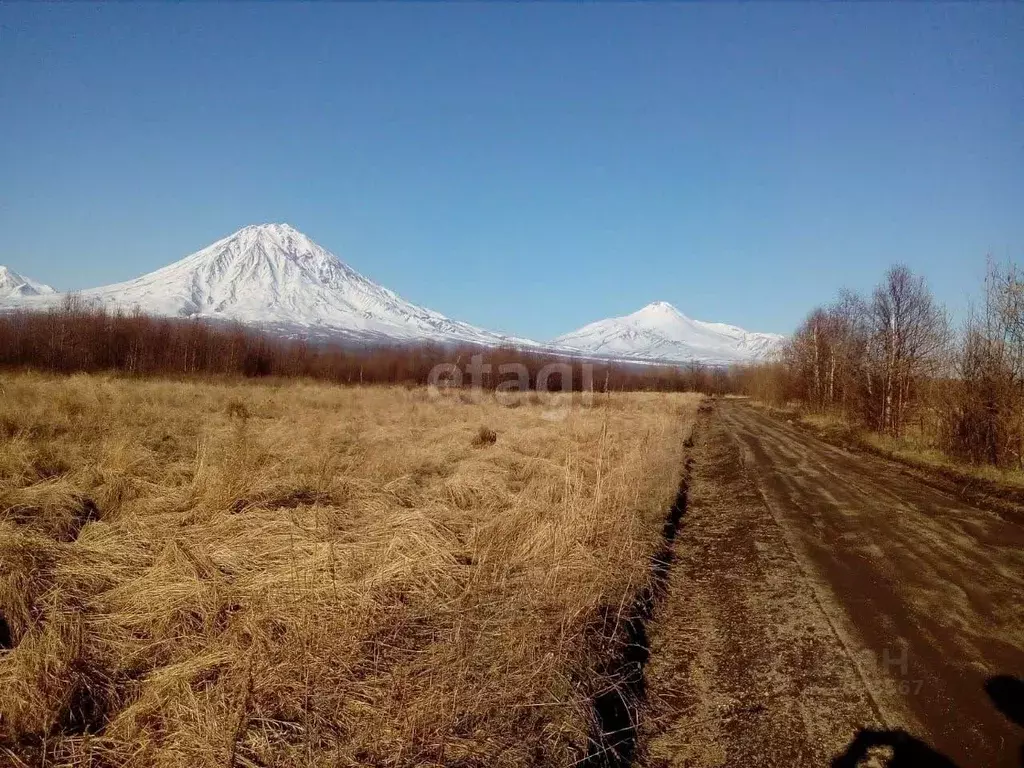 Участок в Камчатский край, Елизовский муниципальный округ, Полиграфист ... - Фото 1