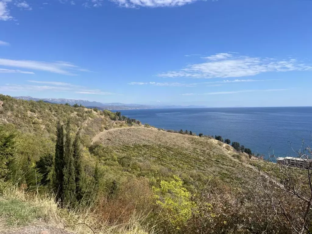 Участок в Крым, Алушта муниципальный округ, с. Лазурное ул. Слуцкого ... - Фото 1