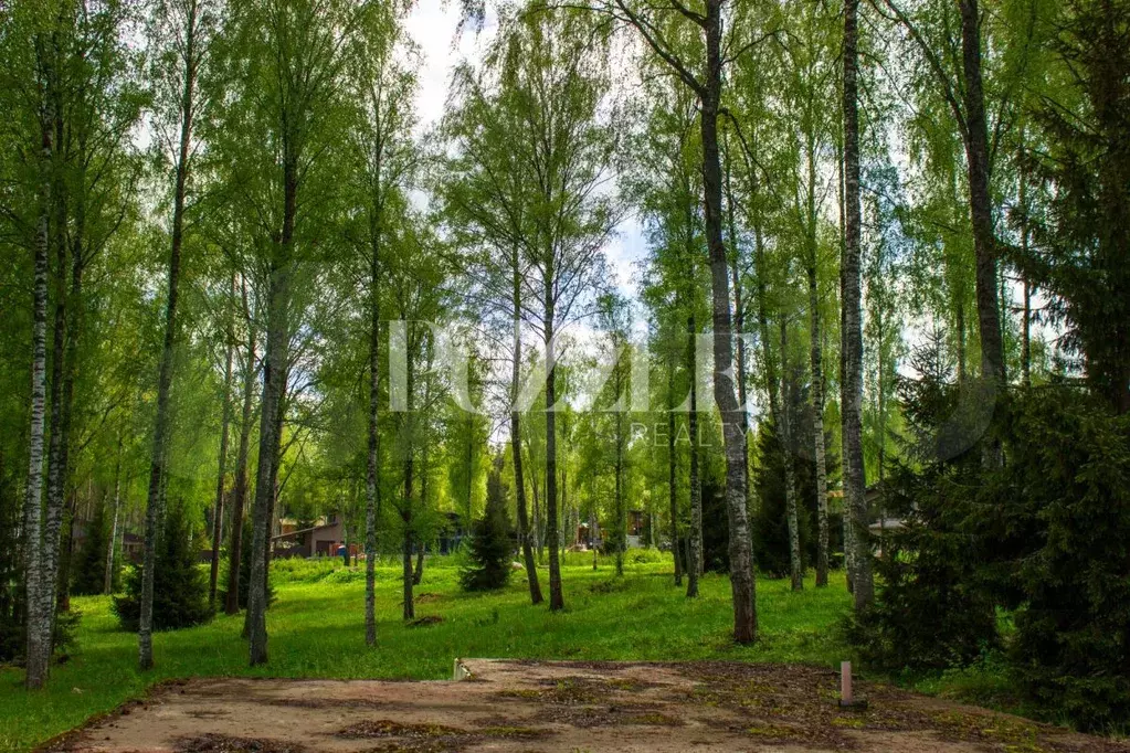 Участок 40 сот. (СНТ, ДНП) - Фото 0