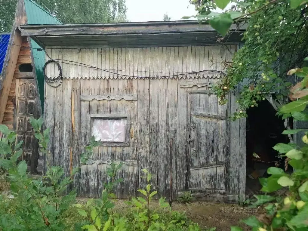 Дом в Тюменская область, Тюмень Плодовое СНТ, ул. Пихтовая, 1 (18 м) - Фото 0