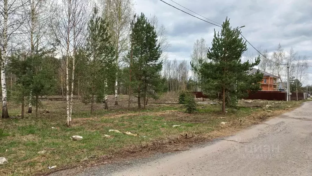 Участок в Московская область, Богородский городской округ, д. ... - Фото 1