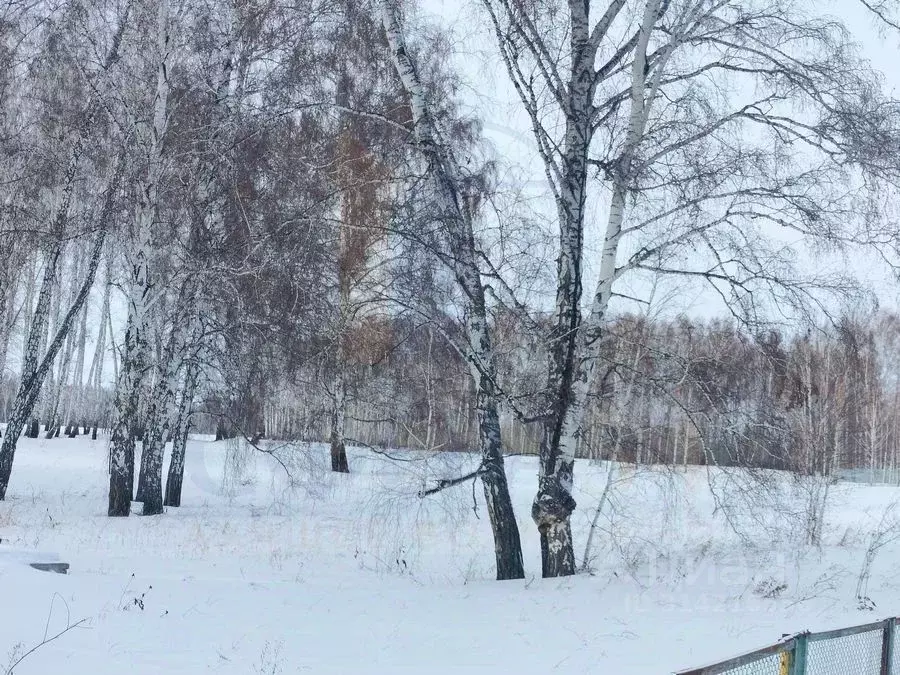 Участок в Новосибирская область, Новосибирский район, с. Ярково  (12.0 ... - Фото 0