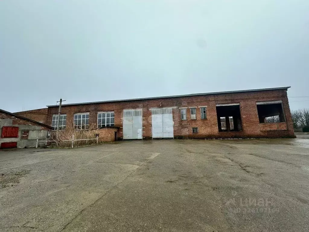 Помещение свободного назначения в Краснодарский край, Староминская ... - Фото 2