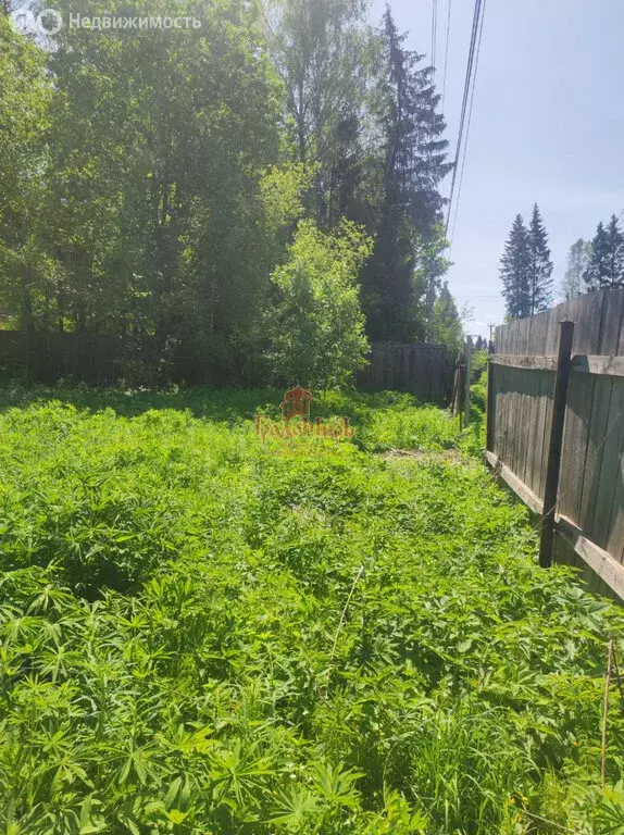 Участок в Сергиево-Посадский городской округ, СНТ Ранет (10 м) - Фото 1